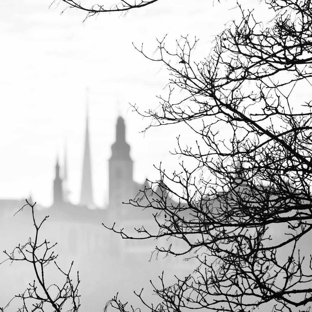 Luxembourg dans le brouillard